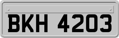 BKH4203