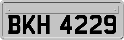 BKH4229