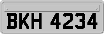 BKH4234