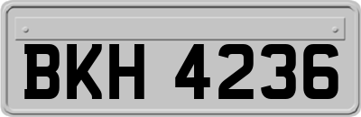 BKH4236