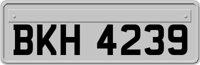 BKH4239