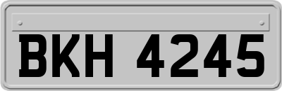 BKH4245