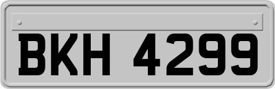 BKH4299