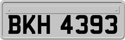BKH4393