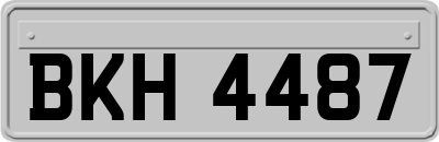 BKH4487