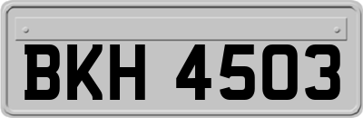 BKH4503