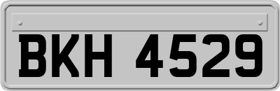 BKH4529