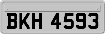 BKH4593