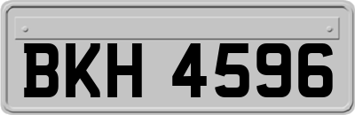 BKH4596