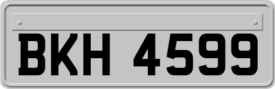 BKH4599