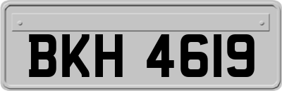 BKH4619