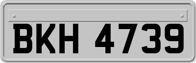 BKH4739