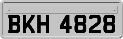 BKH4828