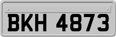 BKH4873