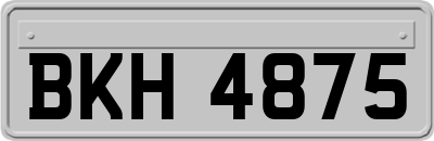 BKH4875