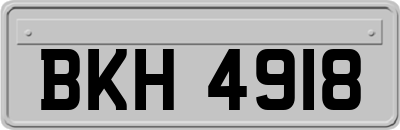 BKH4918