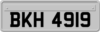 BKH4919