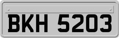 BKH5203