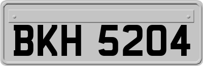 BKH5204