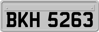BKH5263