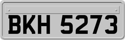 BKH5273
