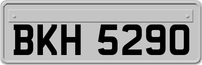 BKH5290