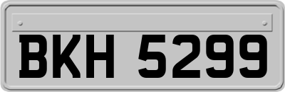 BKH5299