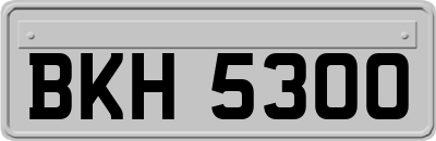BKH5300