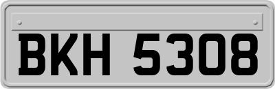 BKH5308