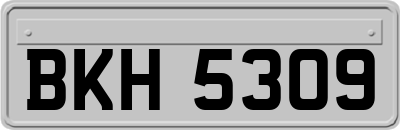 BKH5309