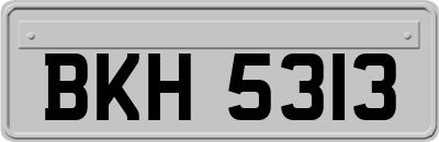 BKH5313