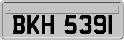 BKH5391