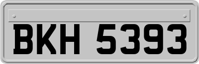 BKH5393
