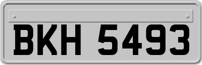 BKH5493