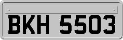 BKH5503