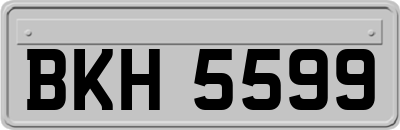 BKH5599