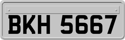 BKH5667