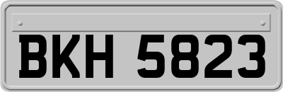 BKH5823
