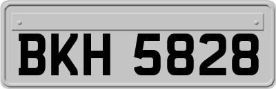 BKH5828