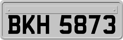 BKH5873