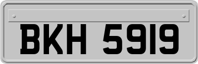 BKH5919