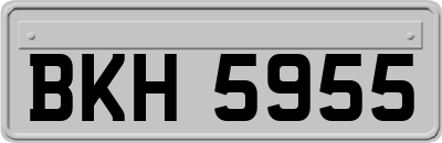 BKH5955
