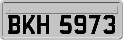 BKH5973