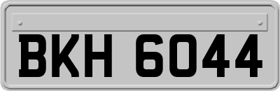 BKH6044