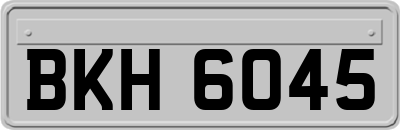 BKH6045