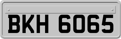 BKH6065