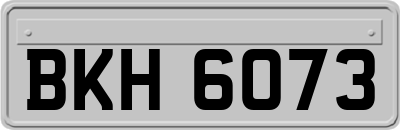 BKH6073