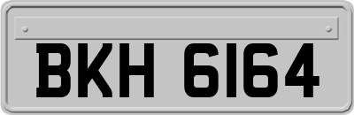 BKH6164