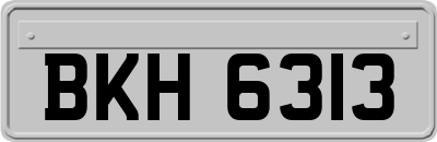 BKH6313