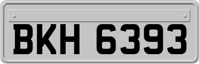 BKH6393